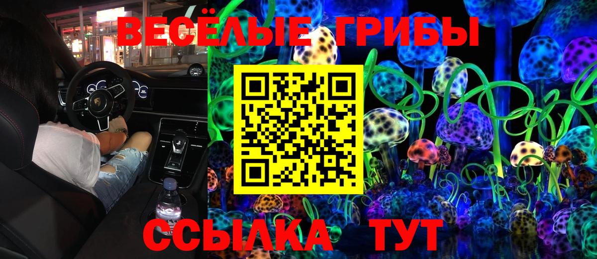 Егорьевск  Галлюциногенные грибы мицелий  закладка  Вход с VPN 
