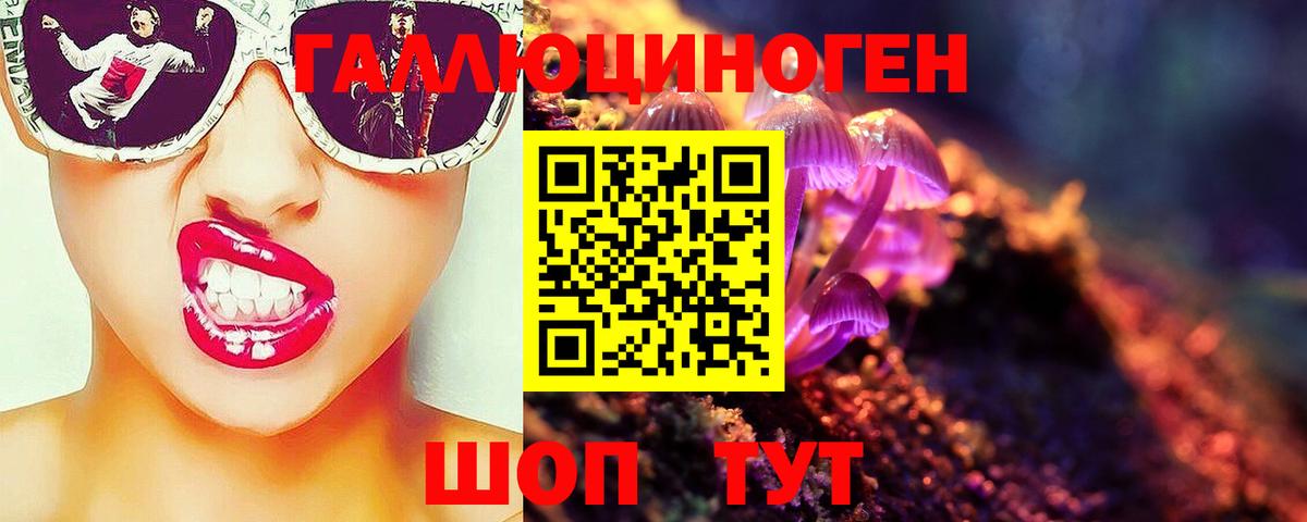 Псилоцибиновые грибы Psilocybe Егорьевск